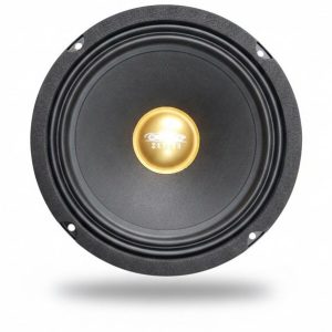 میدرنج 8 اینچ اسکایلر 160 وات max مدل D-200C